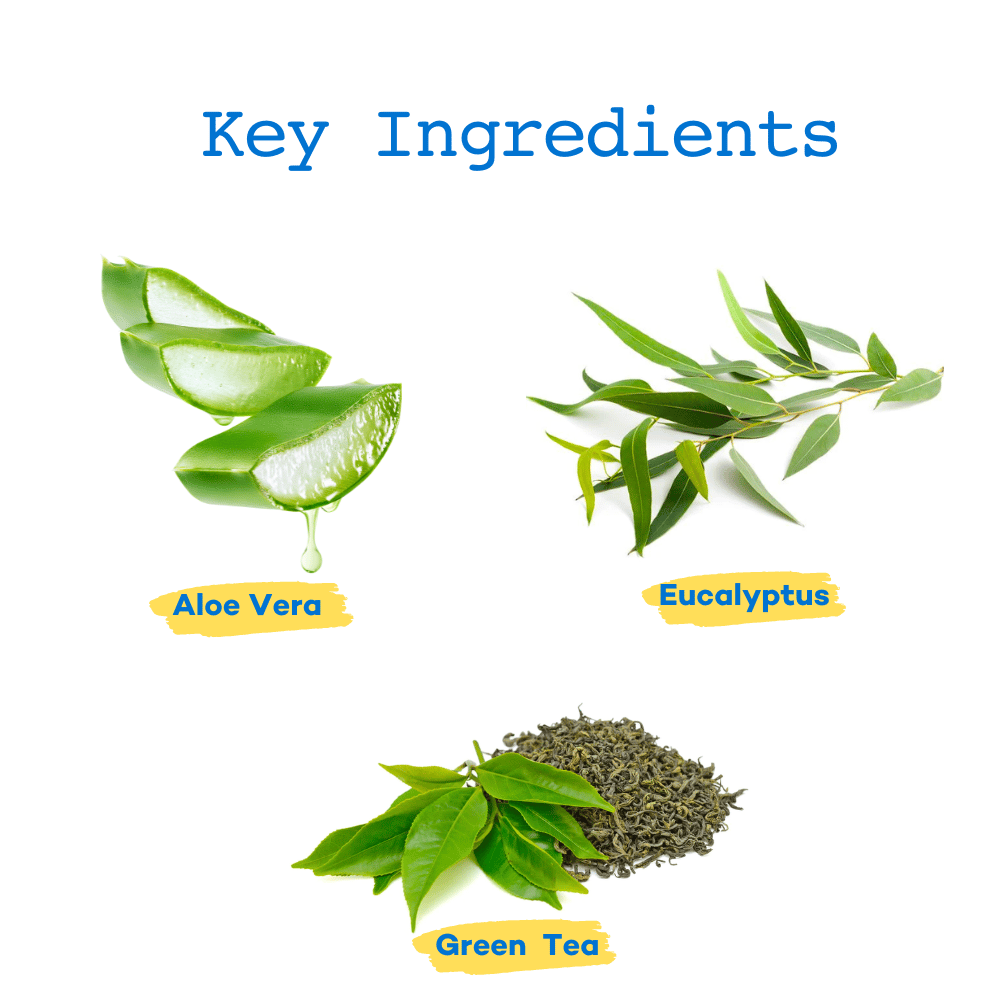 The Good Paws Tick Tick Boop | Flea & Tick Dog Shampoo | Relieves Itching & Dryness | All Natural | Made Safe I for Labrador, Golden Retriever I Itch Relief | Eucalyptus & Lemongrass Oil | 250 ml