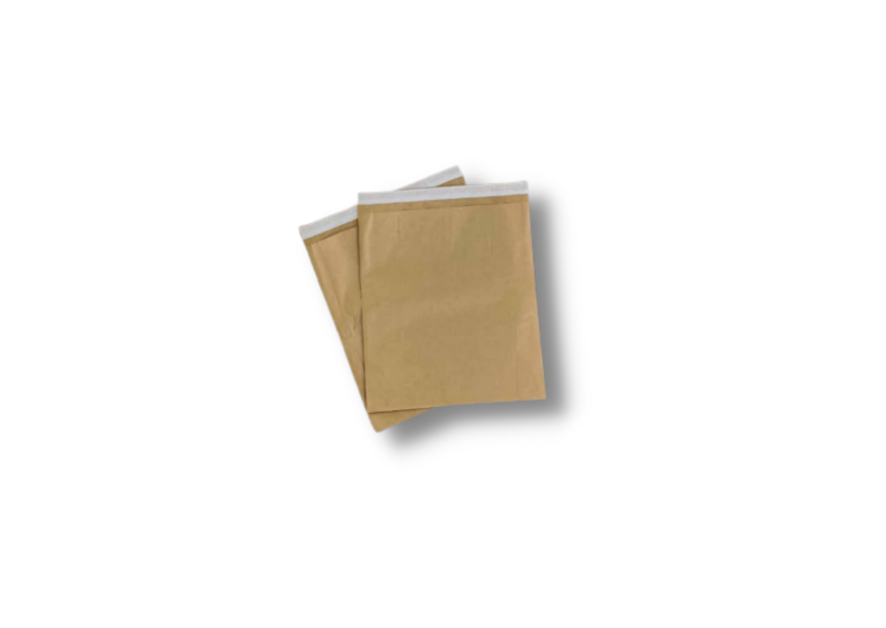 Paper Courier Bag by Pack8 ® (10"x12") - Pack of 50