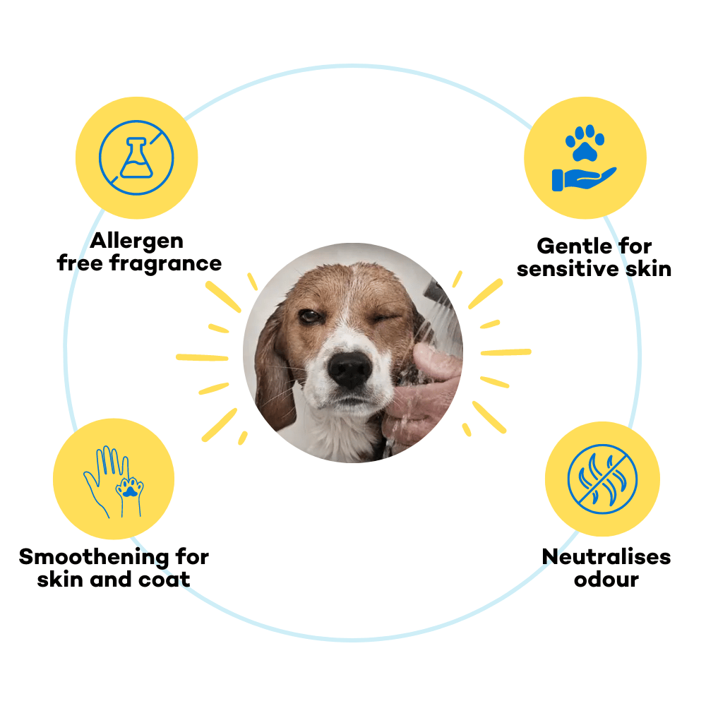 The Good Paws FRESSSSH AF Short Coat Shampoo | Cleans & Freshens Coat | Made Safe I Dog Shampoo for Labrador, Beagle, Indie | All Natural Jojoba & Castor Oil | Pet Shampoo for Dogs & Cats | 250 ml