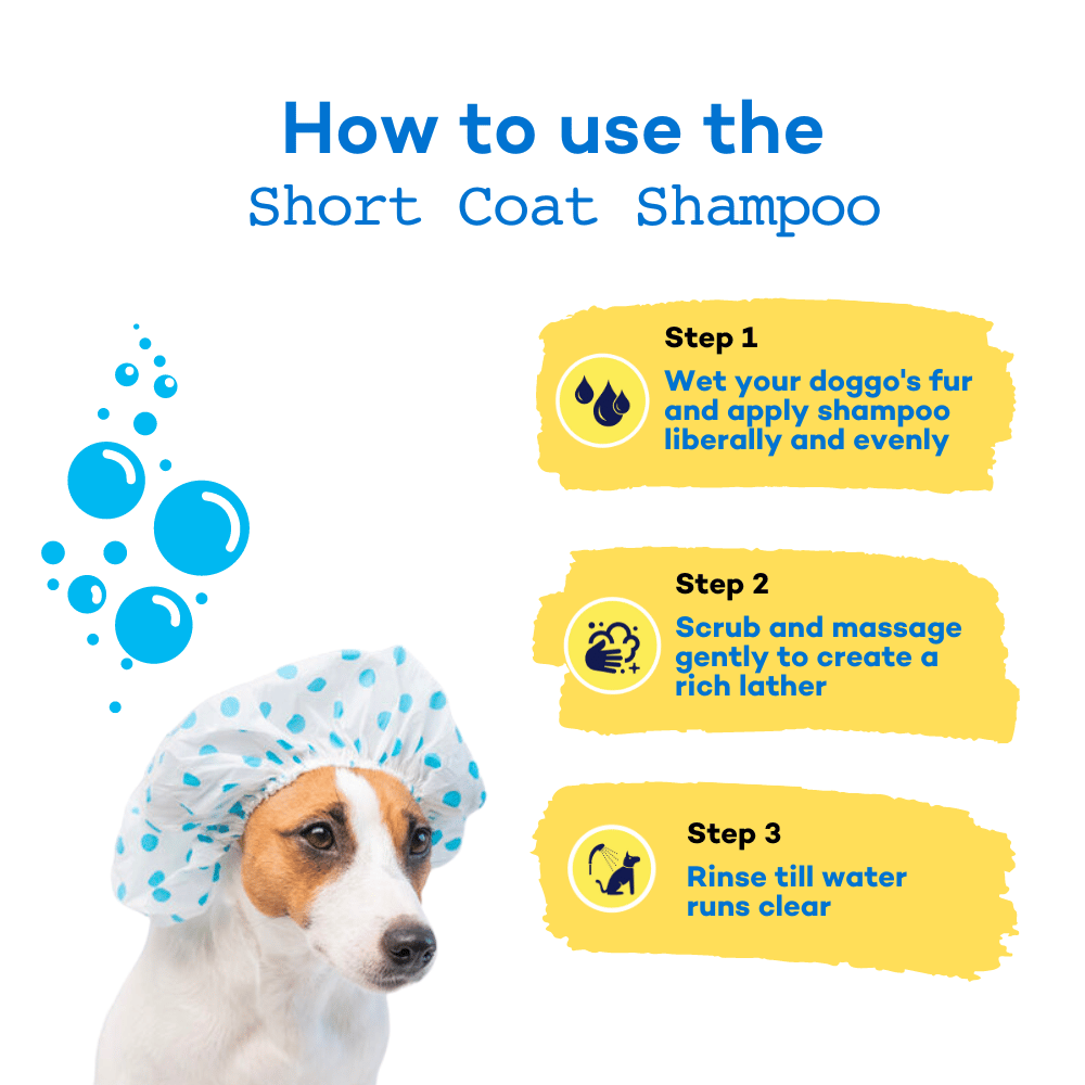The Good Paws FRESSSSH AF Short Coat Shampoo | Cleans & Freshens Coat | Made Safe I Dog Shampoo for Labrador, Beagle, Indie | All Natural Jojoba & Castor Oil | Pet Shampoo for Dogs & Cats | 250 ml