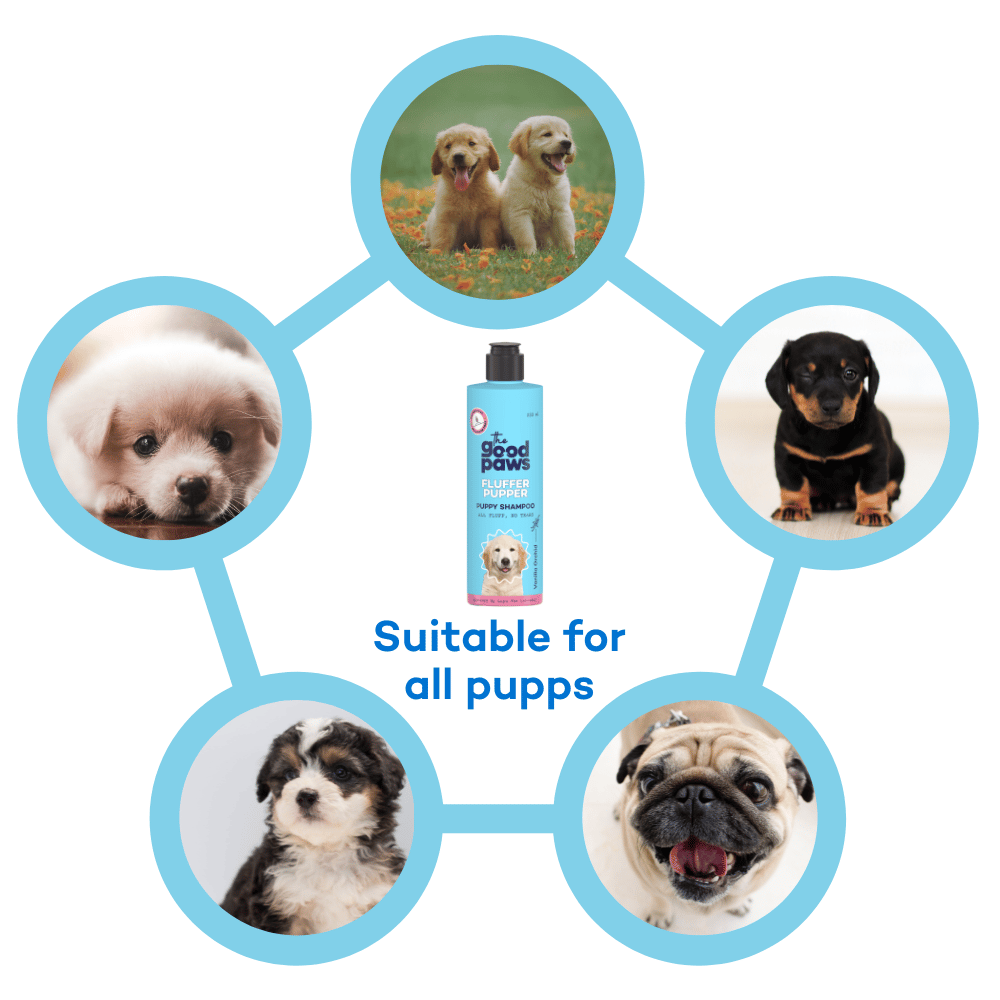 The Good Paws Fluffer Pupper Puppy Shampoo | Made Safe & Allergen-Free | No Tear Shampoo | All Natural Coconut Oil Shampoo | Gentle on Skin & Coat | Puppy Shampoo for All Breeds | pH Balanced | 250 ml