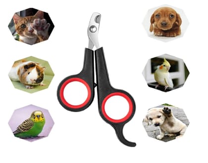 Q D Pet Grooming Nail Claw Paw Cutter Trimmer Clipper Scissor for Dog Cat Puppies Rabbit and All Small Animals and Birds