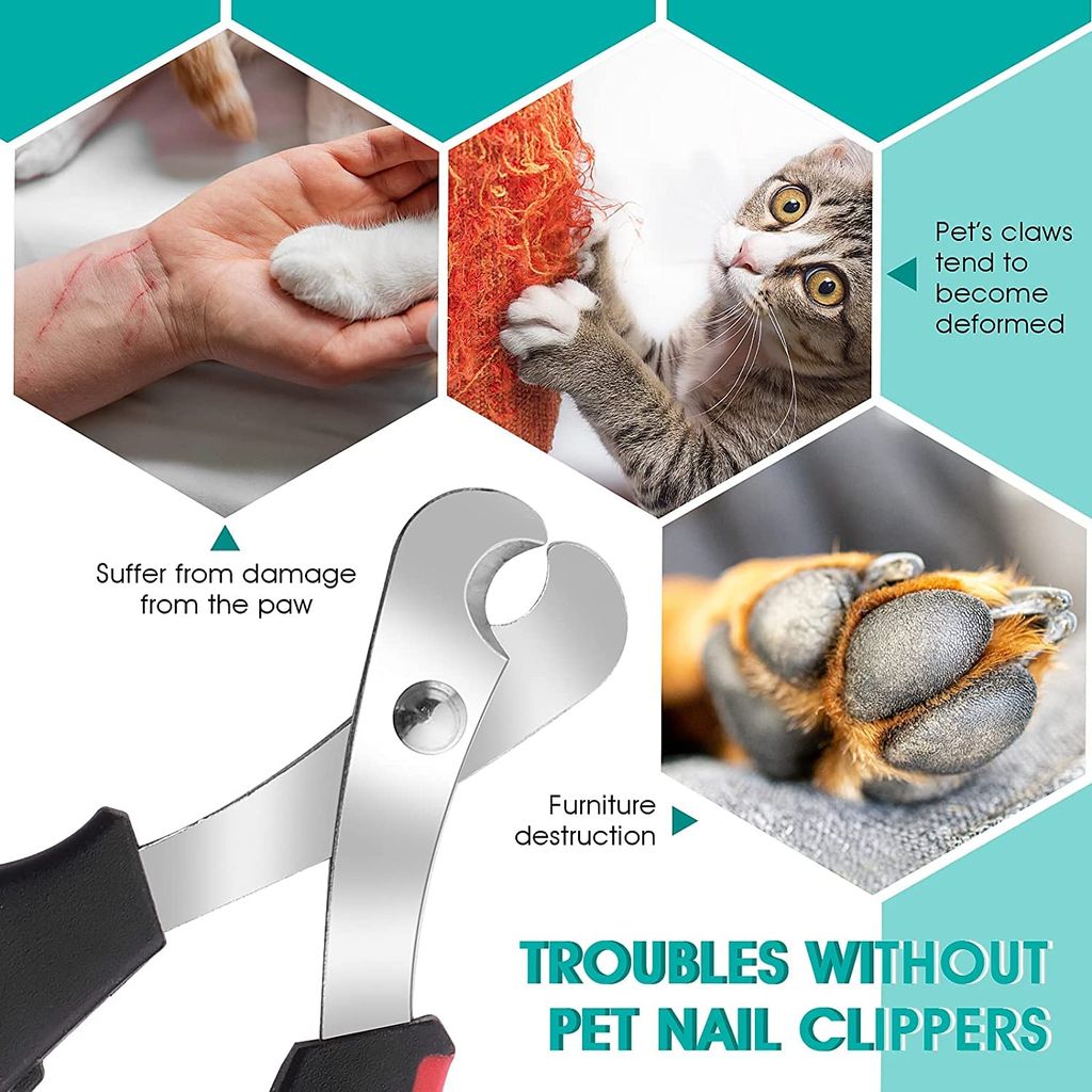 Q D Pet Large Grooming Nail Claw Paw Cutter Trimmer Clipper Scissor for Dog Cat Puppies Rabbit and All Small Animals and Birds