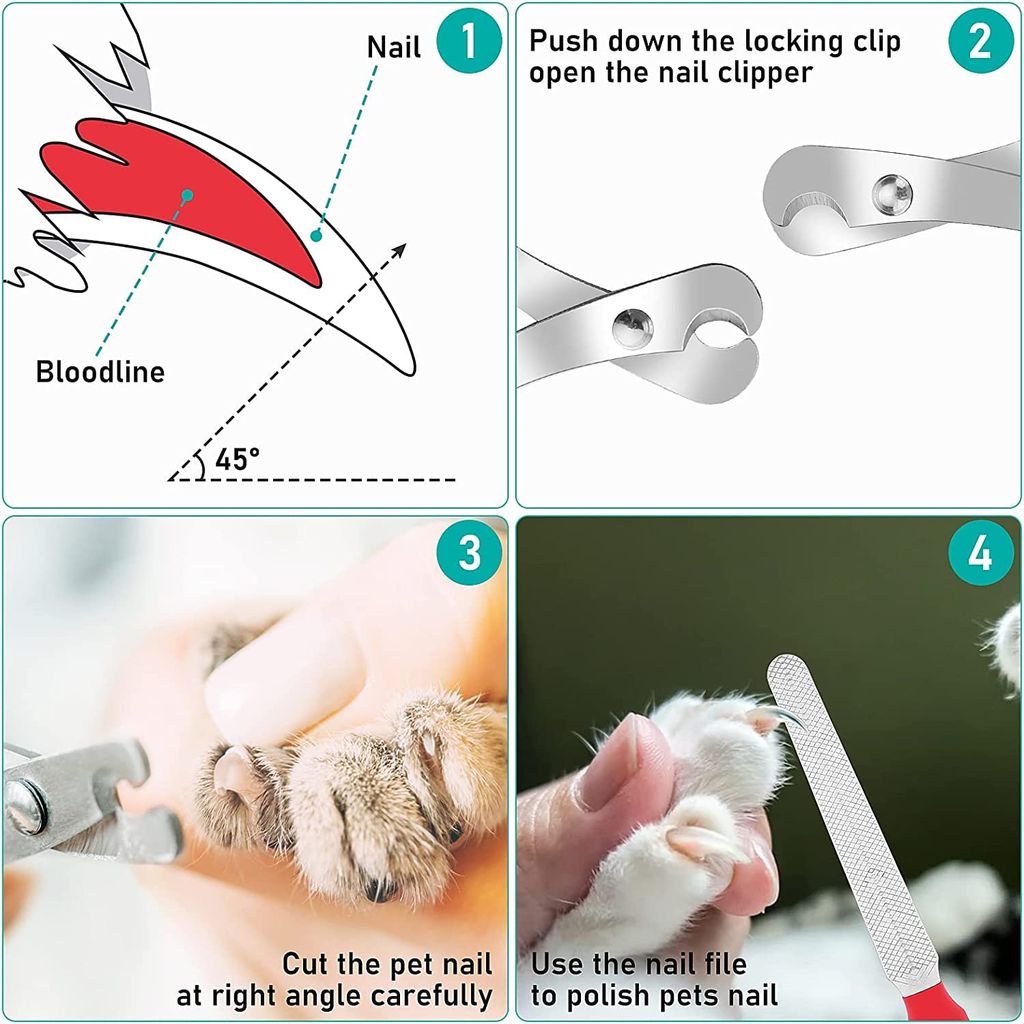 Q D Pet Large Grooming Nail Claw Paw Cutter Trimmer Clipper Scissor for Dog Cat Puppies Rabbit and All Small Animals and Birds