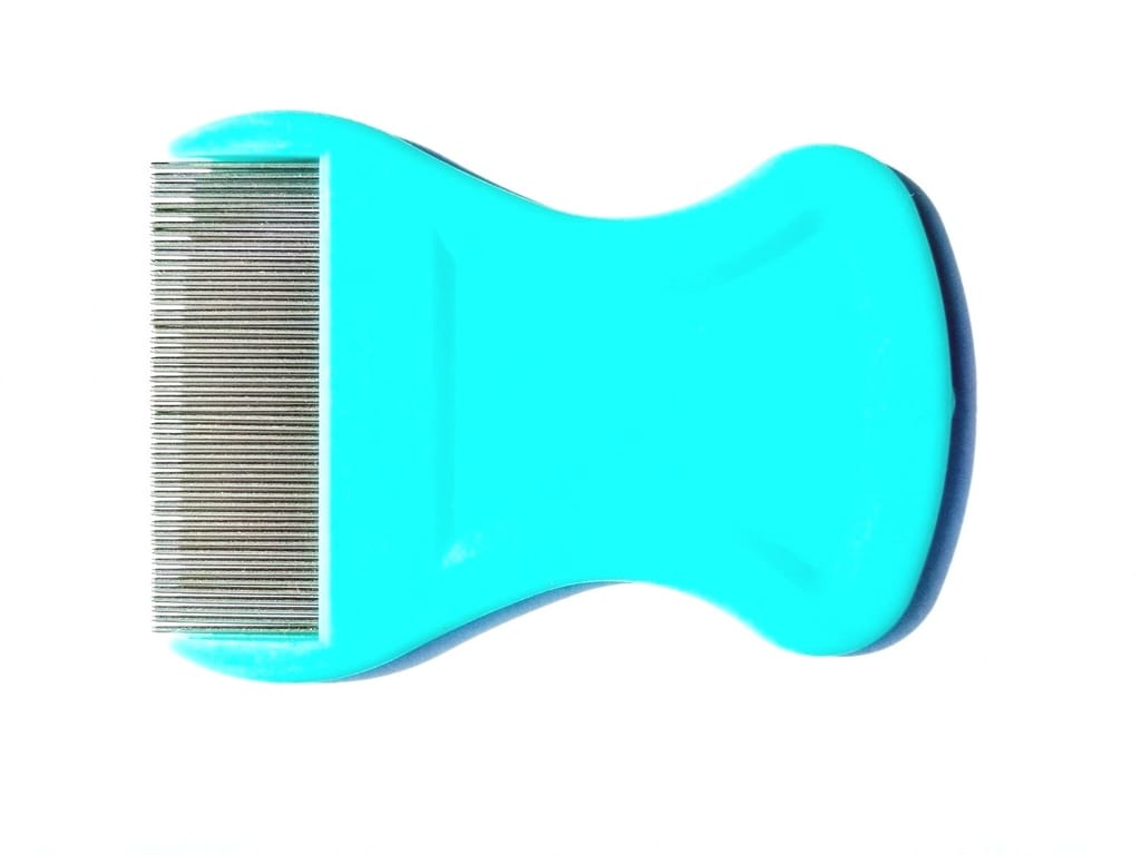 Q D Extra small Lice Comb,Very effective for Head Lice and Nit Lice remover tool FOR KIDS GIRL WOMEN BABY