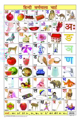 Hindi Varnmala Educational Wall Chart For Kids - Both Side Hard Laminated (Size 48 x 73 cm) [Paperback] Dreamland Publications