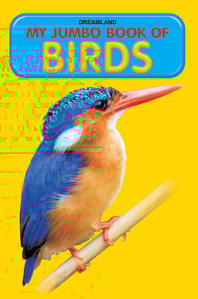 My Jumbo Book Of Birds (My Jumbo Books) [Paperback] Dreamland Publications