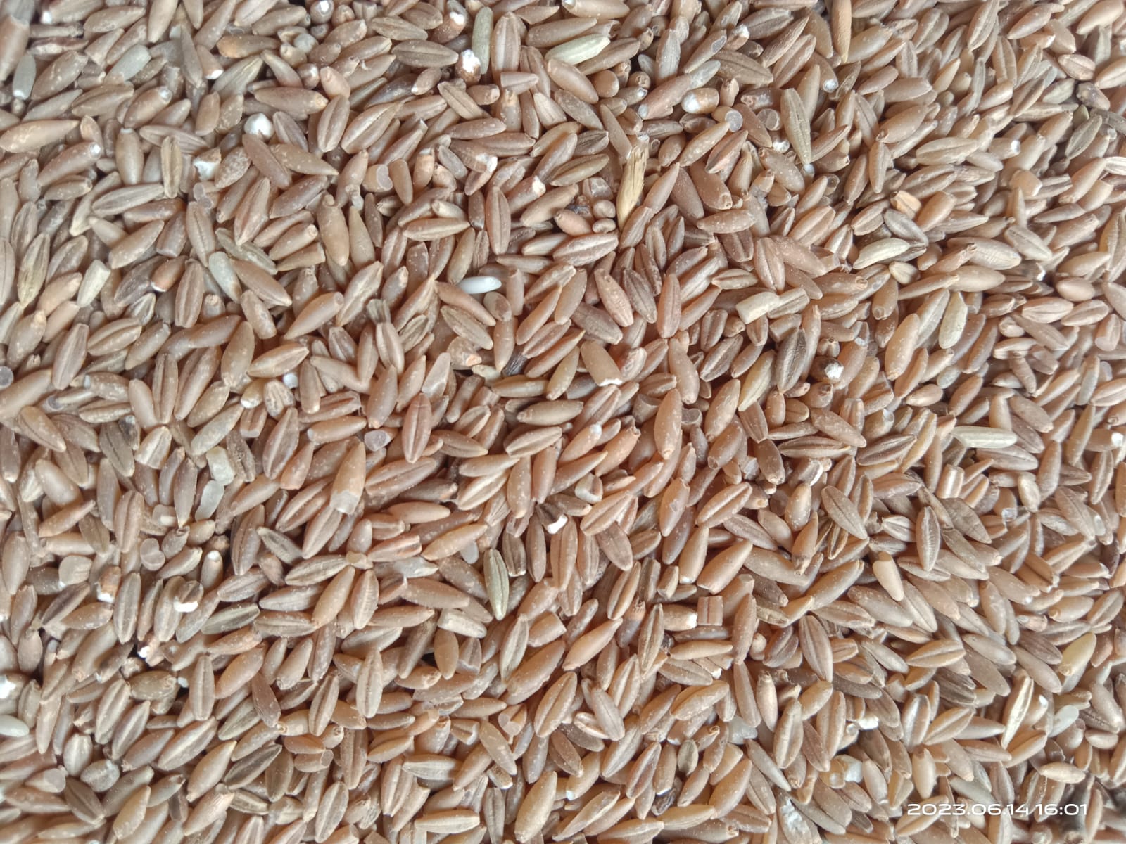 Uzhavan Unavu - Bamboo Rice - 500 Gms.