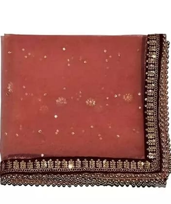 Mamta Collection Red net maroon border Bridal Wedding Dupatta With 4 Side Velet Border With Sequence Work and 4 side Beads Lace And All Over kundan Wor (Pink)