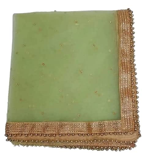 Mamta Collection Women's Heavy Net Dupatta With Zari Embroidery Heavy Border 2.5 Meter (Mint Green)