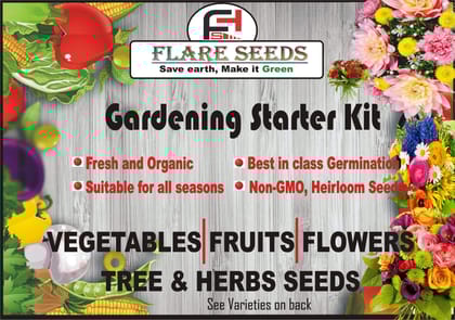FLARE SEEDS 45 Varities of Vegetables Seeds 2500+ Seeds With Instruction Manual