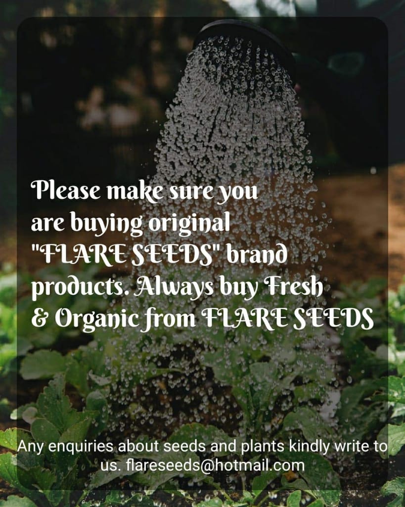 FLARE SEEDS Vegetable Combo Of 45 Varities Pack Of 2500+ & Hybrid Seeds