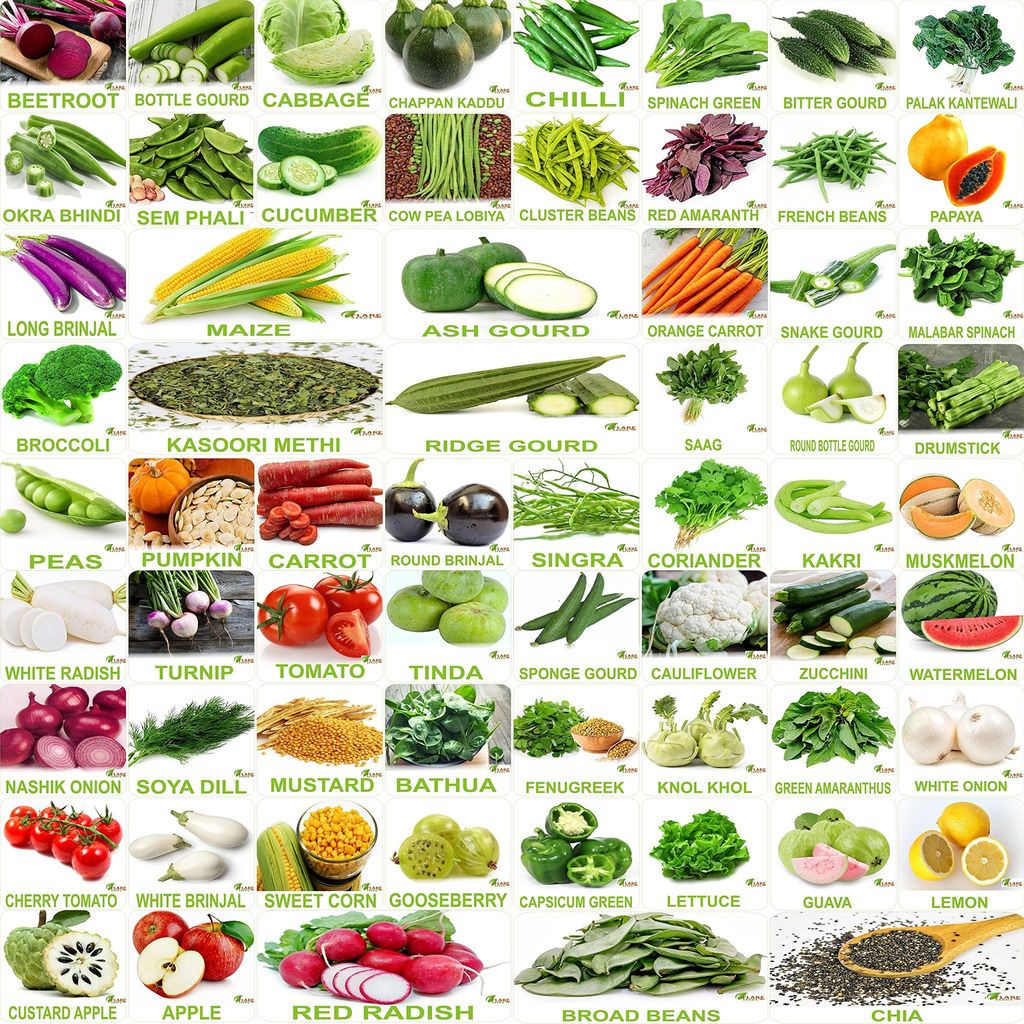 FLARE SEEDS No.1 Organic, Winter, Summer, Home Garden, Seeds Bank, Vegetable 65 Seeds Combo