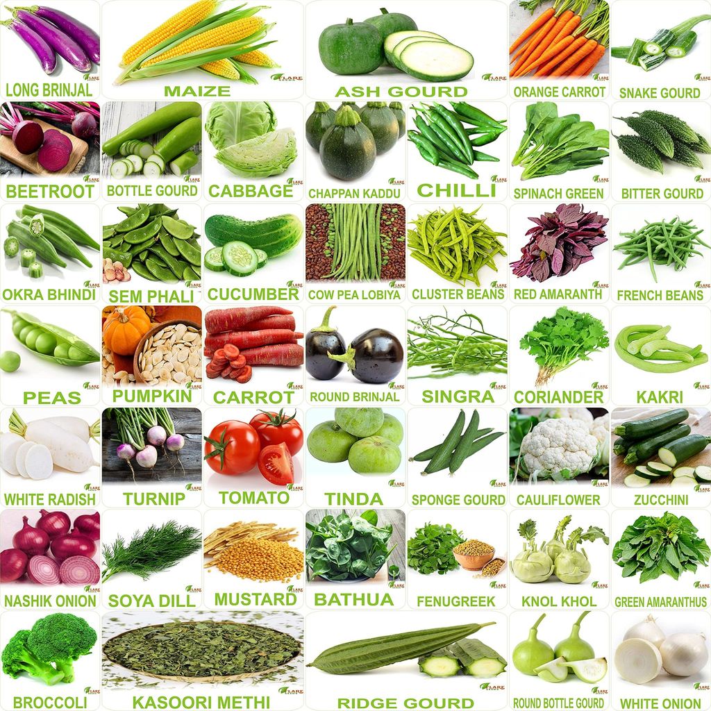 FLARE SEEDS No.1 Organic, Winter, Summer, Home Garden, Seeds Bank, Vegetable 45 Seeds Combo