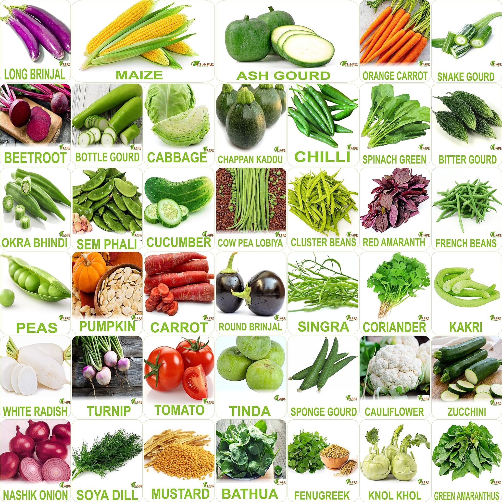 FLARE SEEDS No.1 Organic, Winter, Summer, Home Garden, Seeds Bank, Vegetable 40 Seeds Combo