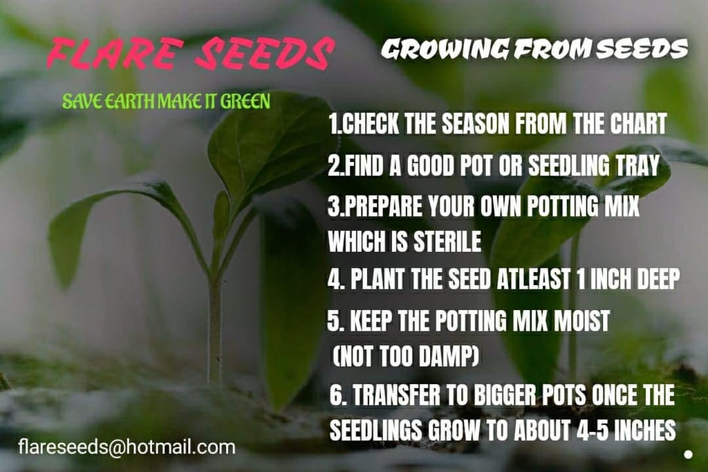 FLARE SEEDS Vegetables Seeds Pack