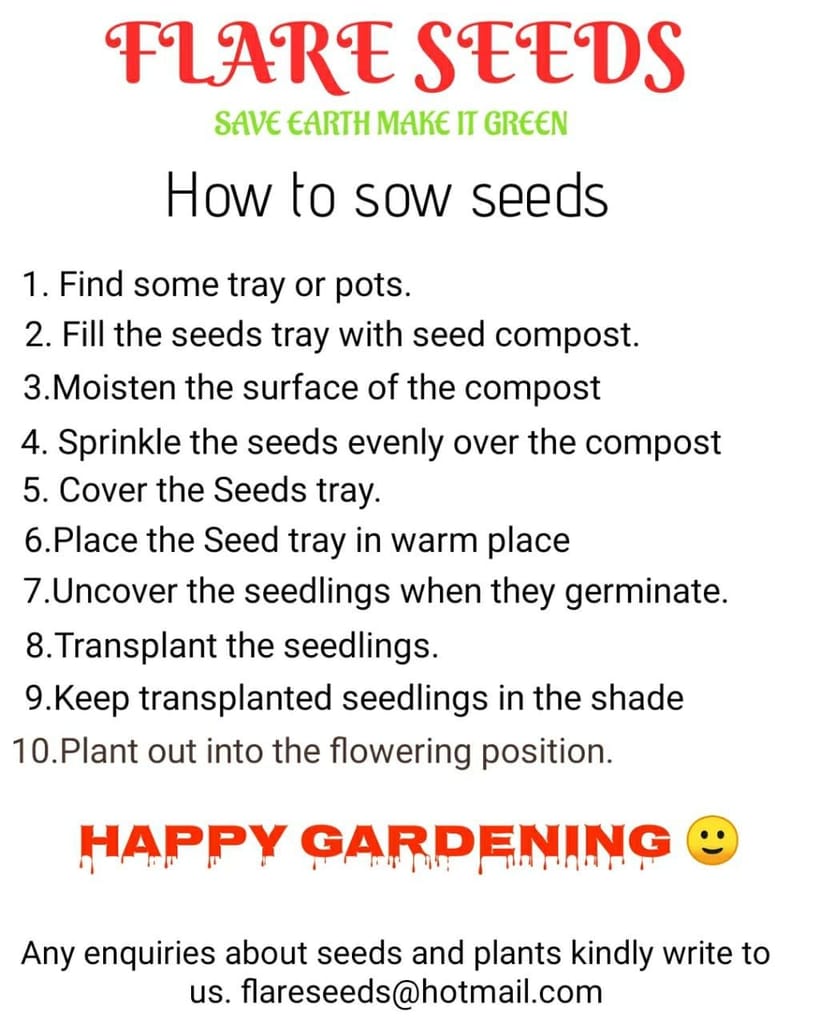 FLARE SEEDS Vegetables Seeds Pack