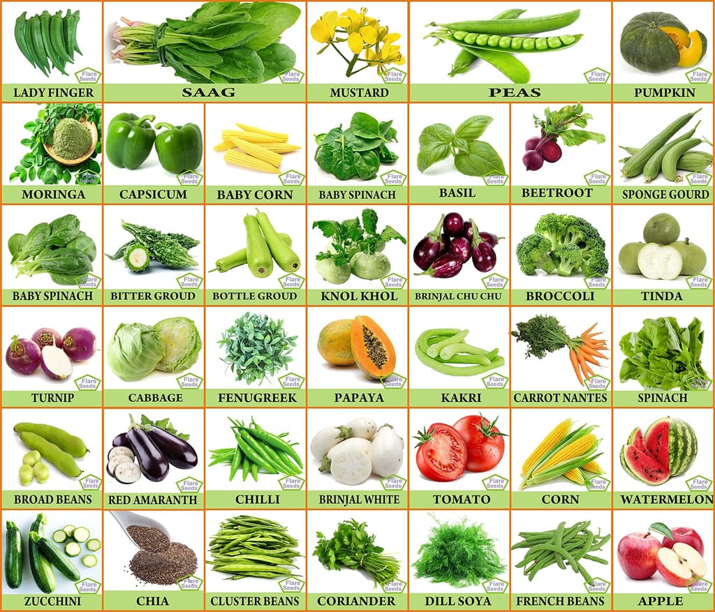 FLARE SEEDS 40 Variety of Vegetables Seeds (2000+ Seeds)
