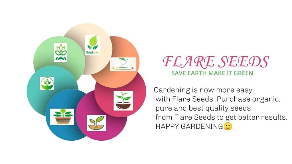 FLARE SEEDS 40 Variety of Vegetables Seeds (2000+ Seeds)