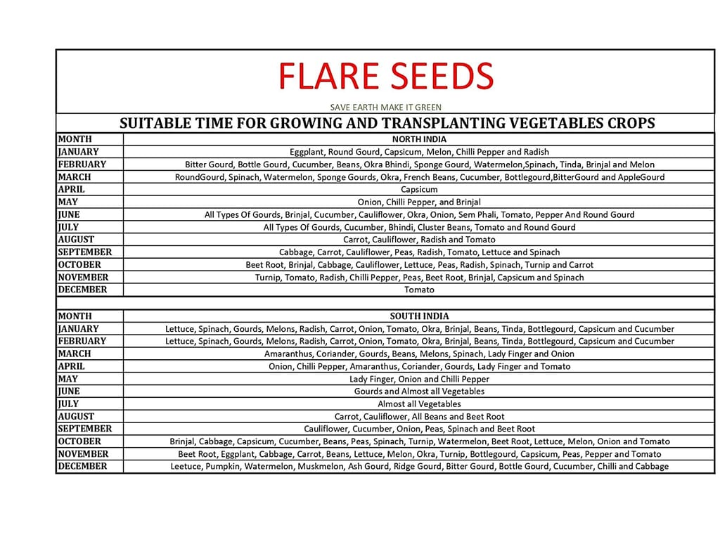 FLARE SEEDS 45 Varieties of Vegetable Seeds Combo With Instruction Manual Easy To Grow