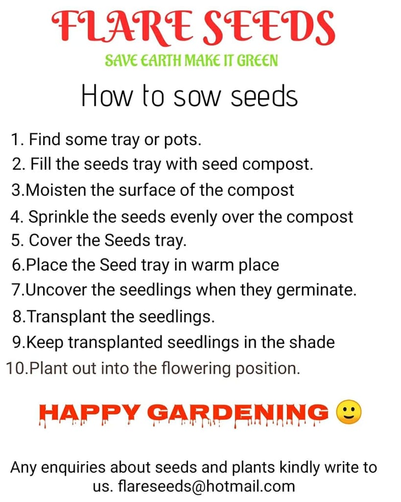 FLARE SEEDS 20 Types of Mix Vegetables Seeds Combo With Instruction Manual Inside