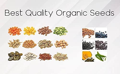 Vrisa Green Vegetables Seeds Bank For Home Garden 30 Varieties 1700+ Seeds