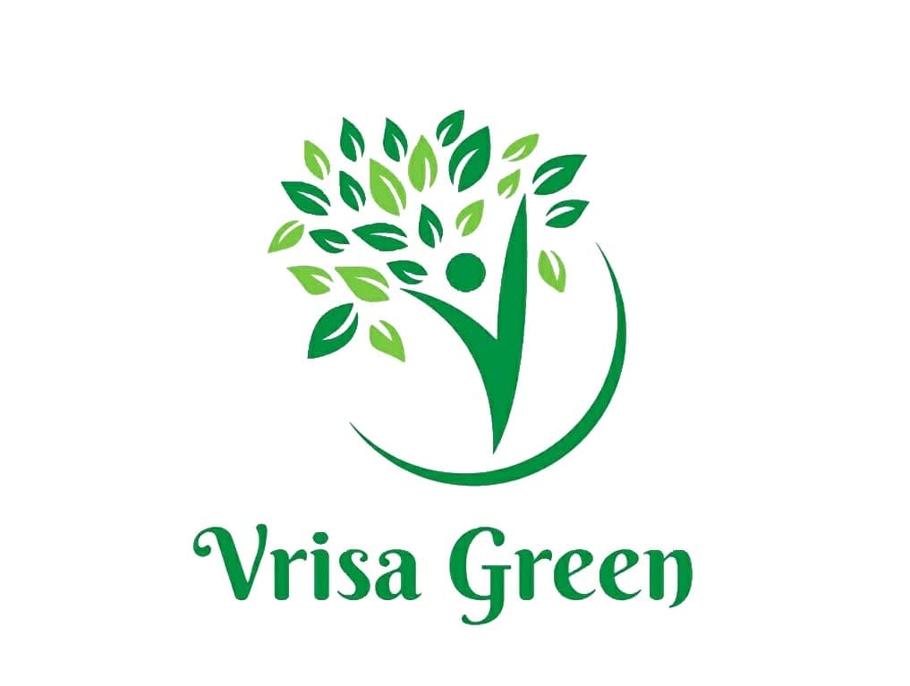 Vrisa Green Vegetables Seeds Bank For Home Garden 30 Varieties 1700+ Seeds