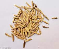 Basmati Paddy (1121 Variety)
