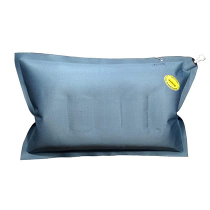 Duckback Rubber Dual Color Air Pillow for Travelling and Home Use (Blue and Green, Standard)