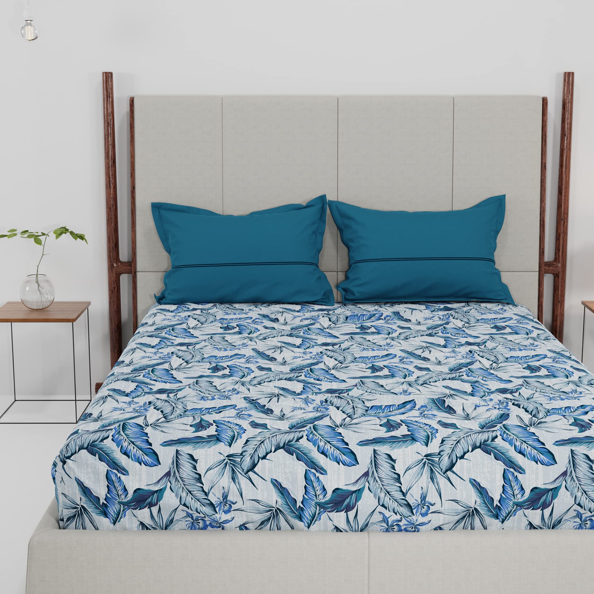 Trident Queen Sheet Set, 100% Cotton, 144 Thread Count, Queen Size Bedsheet Set with 2 Pillow Covers, Superior Softness, Oeko-Tex Certified, Dusk and Down Bedsheets Collection