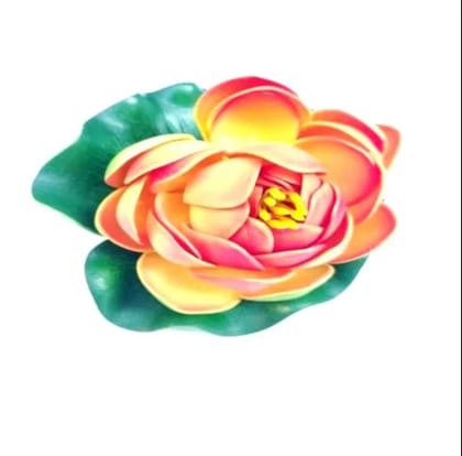 Floating Lotus Flowers with Rubber Leaf for Decoration in multicolor