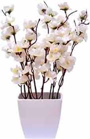 Decorative Orchid Flower Bonsai in Multicolor