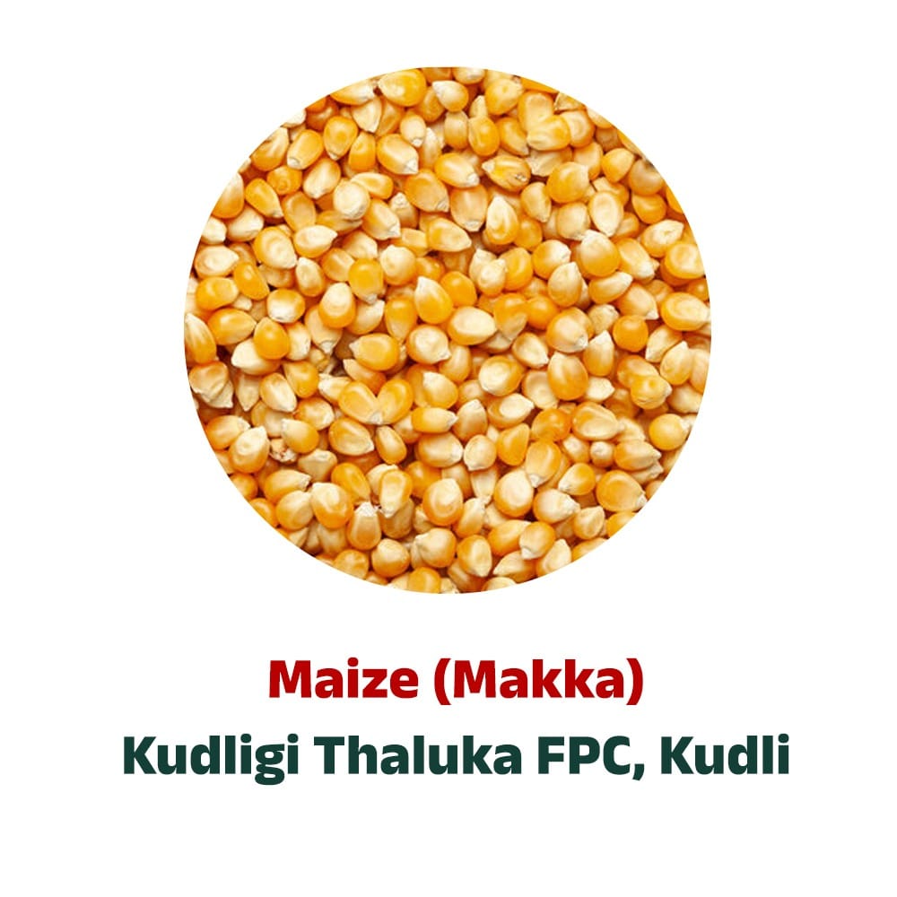 Kudligi Maize