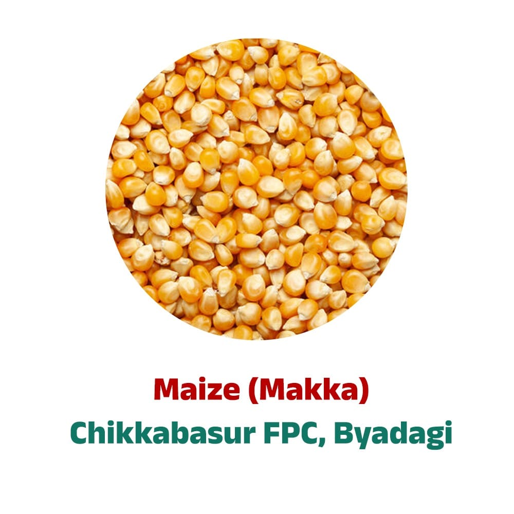 Chikkabasur Maize 20 Kgs