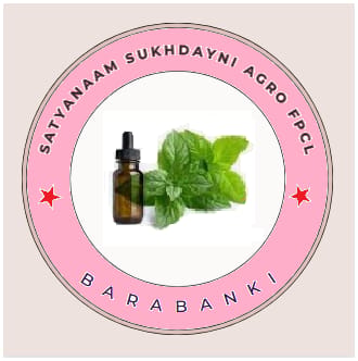 SATYANAAM SUKHDAYNI AGRO FARMER PRODUCER COMPANY LIMITED