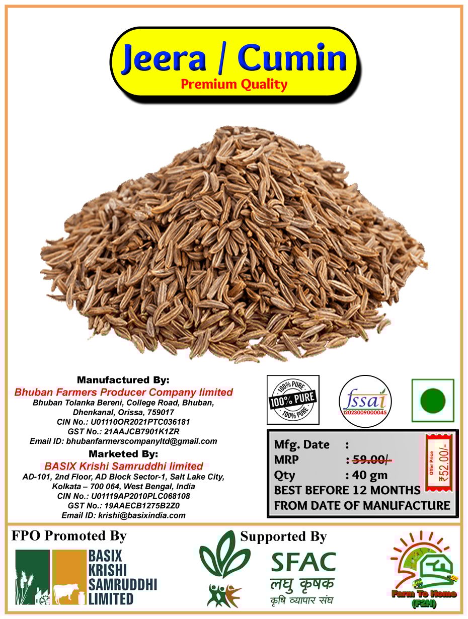 Jeera / Cumin | Premium Quality | 40 gm