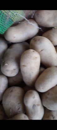 Potato 10 kg