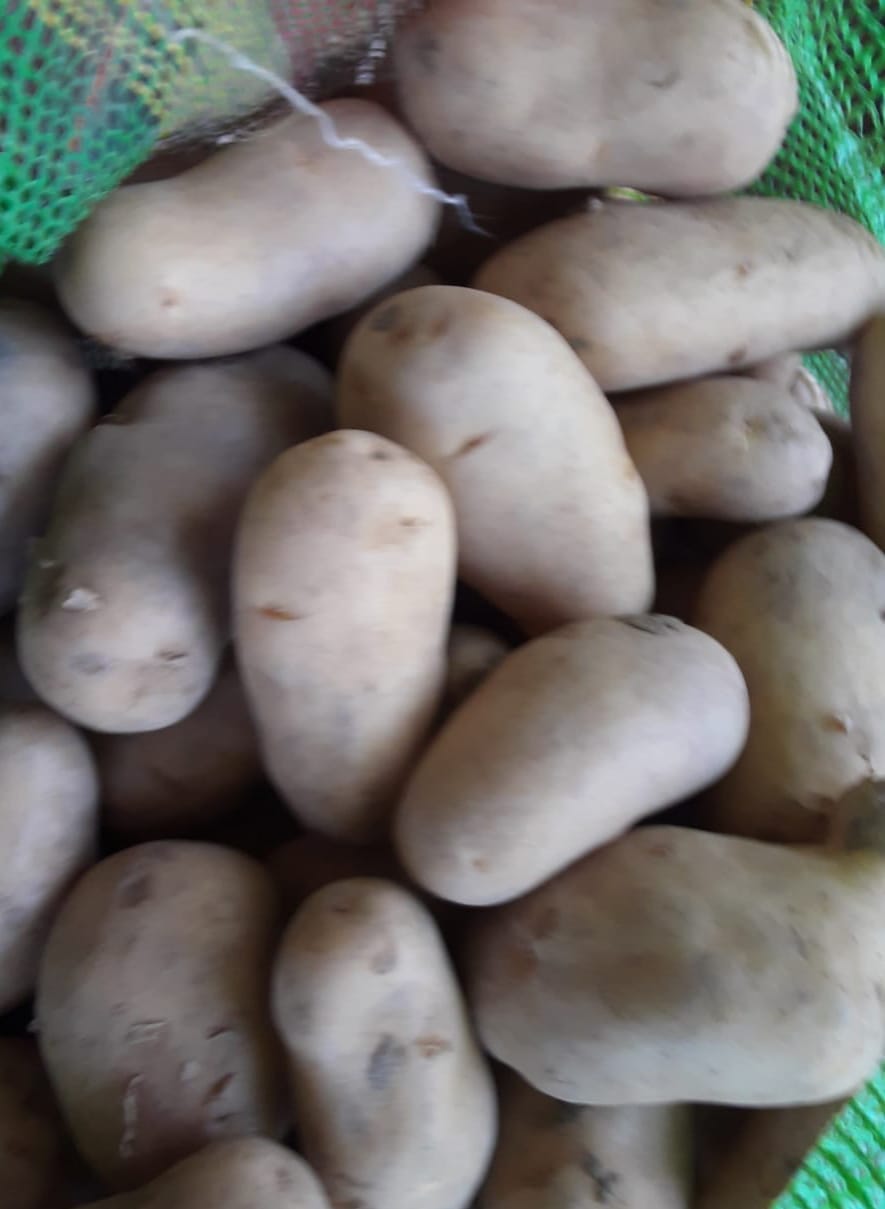 Potato 10 kg
