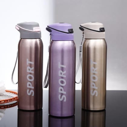 The Ubals Stainless Steel Double Wall Vacuum Insulated BPA Free Water Bottle with Sipper 500 ml