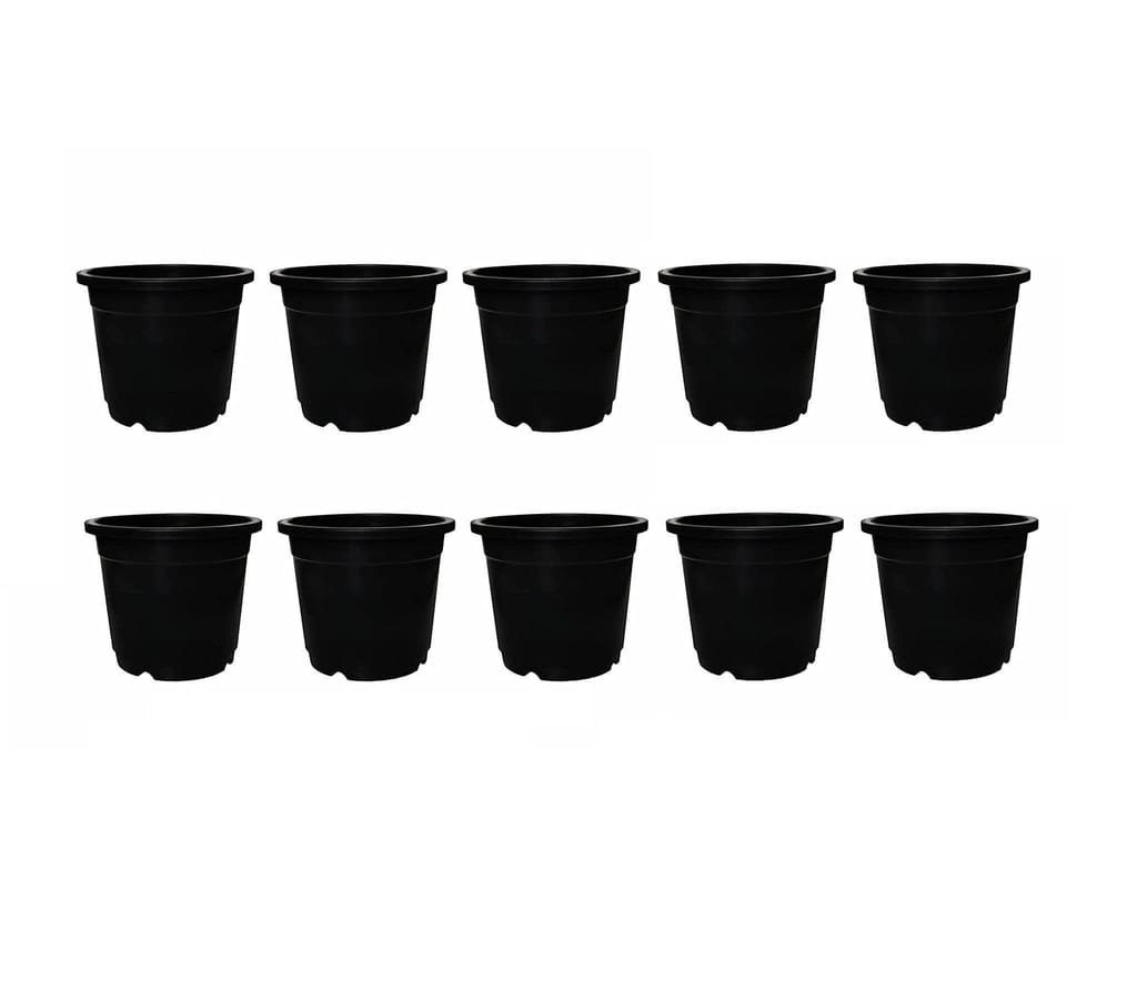 Brand seal