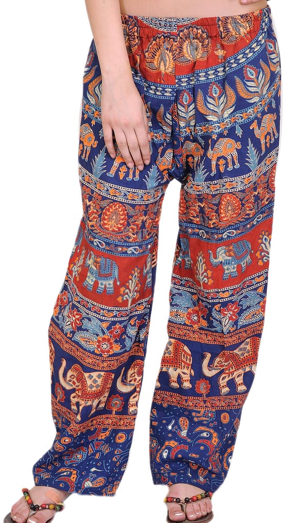Estate-Blue Casual Trousers from Pilkhuwa with Printed Elephants - Trousers | Buy online on ZillyBuy