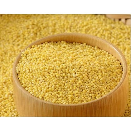 Little Millet / Samai Rice/ Kutki /Sama