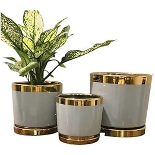 Ceramic Indoor Planter Pot with Drainage Hole and Saucer, Grey Colour with Golden Stripe for Indoor Flower