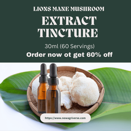 Lions Mane Mushroom Extract Tincture 30ml (60 Servings)