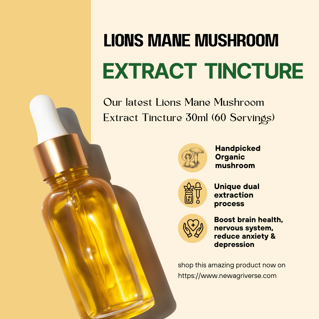Lions Mane Mushroom Extract Tincture 30ml (60 Servings)