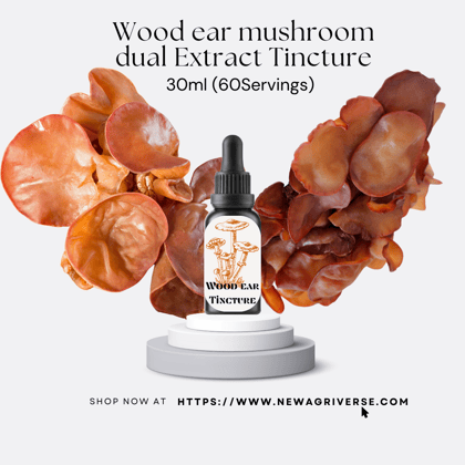 Wood Ear (Auricularia) Mushroom Extract Tincture 30ml (60 Servings)