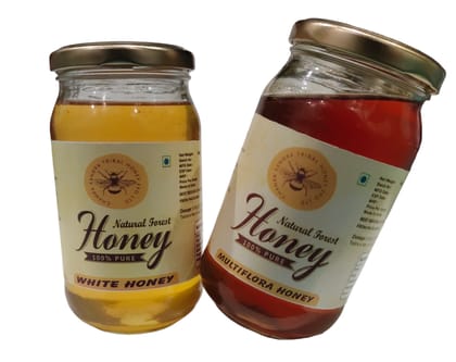 Combo Pack of 2 Multiflora & White Honey 500g each