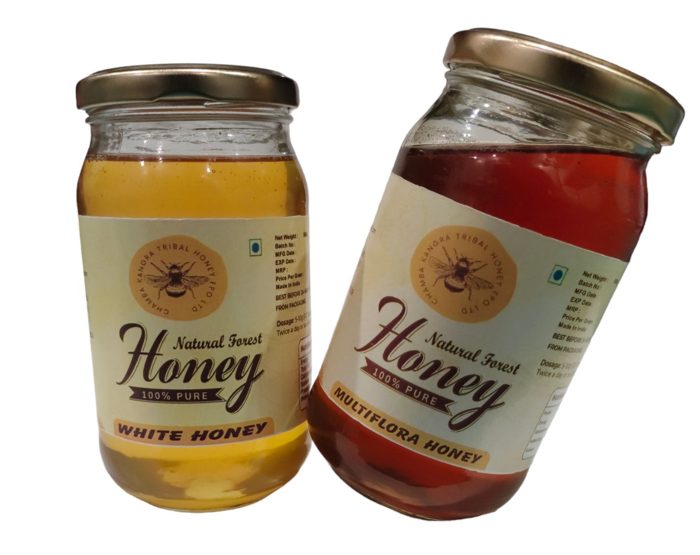 Combo Pack of 2 Multiflora & White Honey 500g each