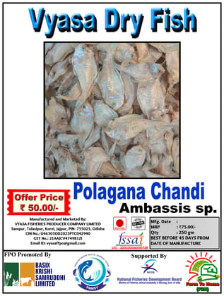 Polagana Chandi | Ambassis sp. | Vyasa Dry Fish | 250gm