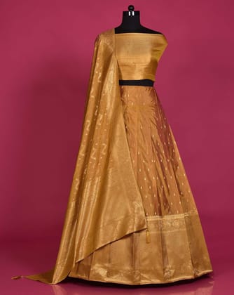 Rust Banarasi Silk Zari Woven Lehenga Choli